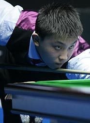 多伦多蓝鸟 多伦多蓝鸟