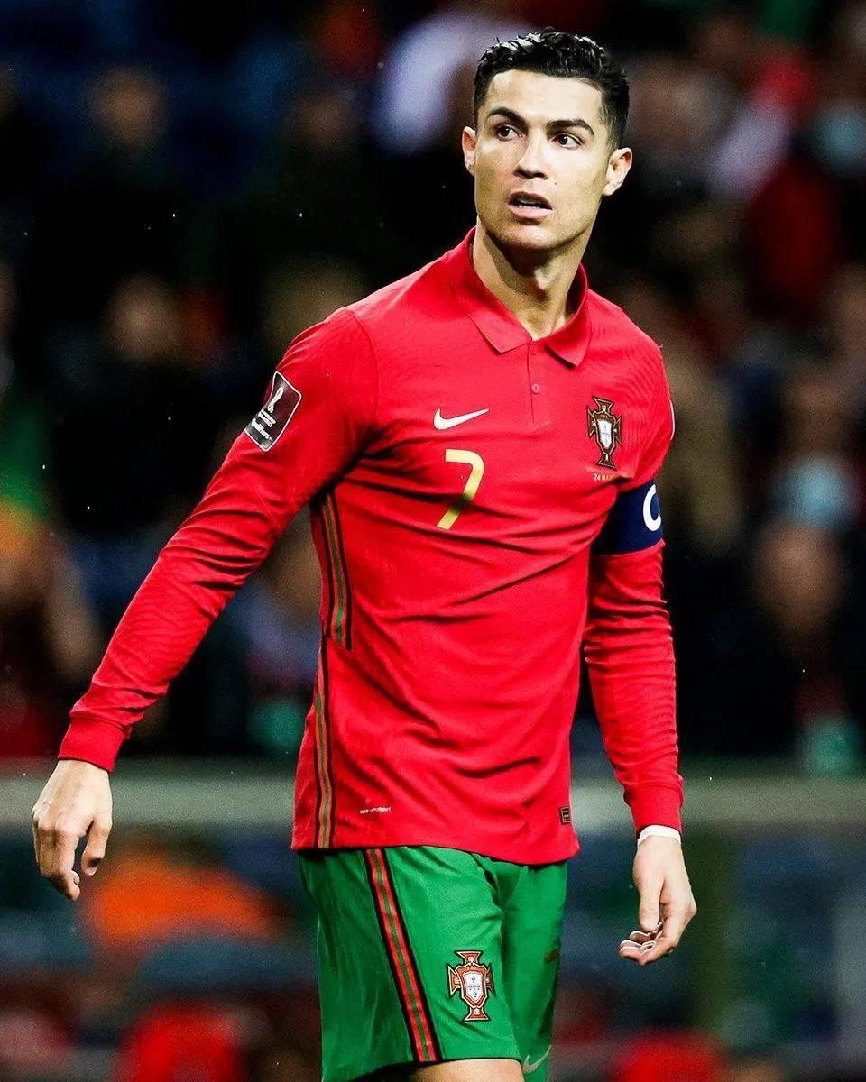 底角三分命 底角三分命